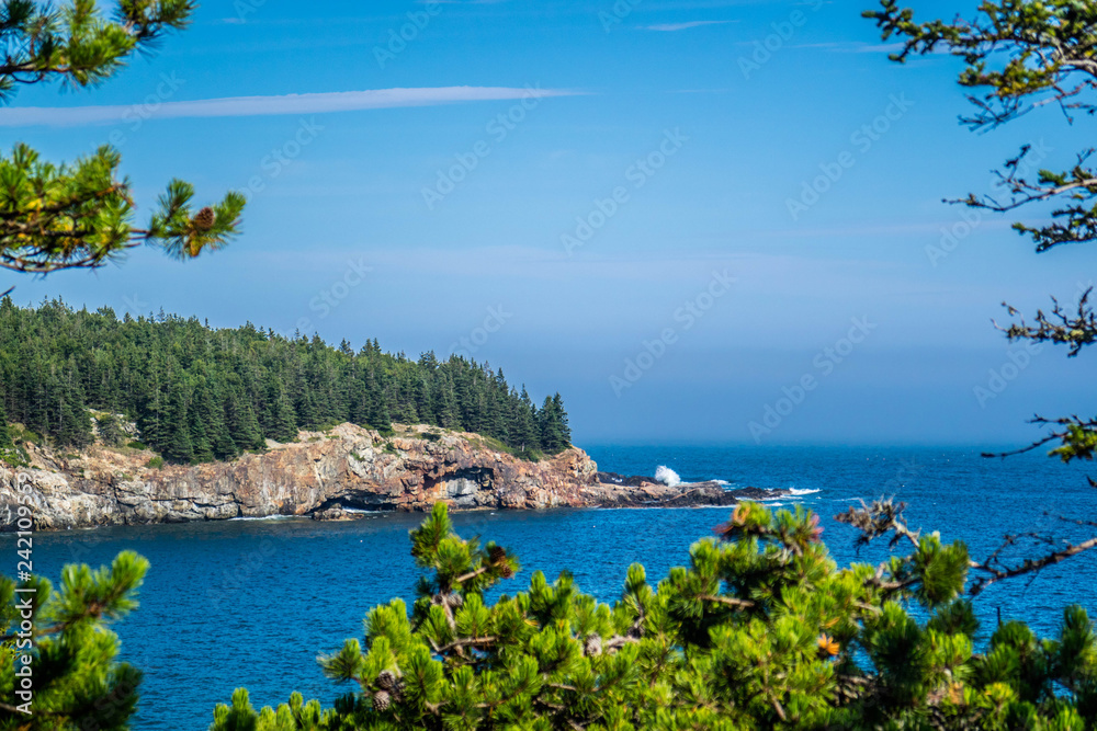 The Ocean Path Trail in Acadia National Park, Maine