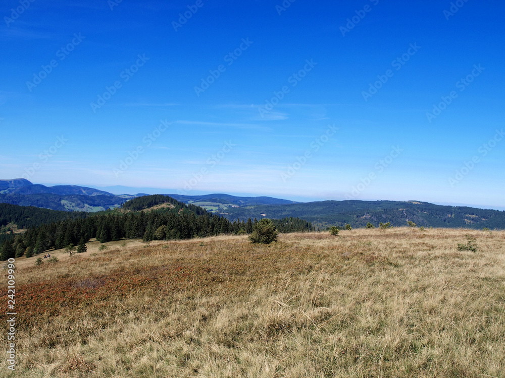 Schwarzwald. Blick auf dem Gipfel des Herzogenhorns
