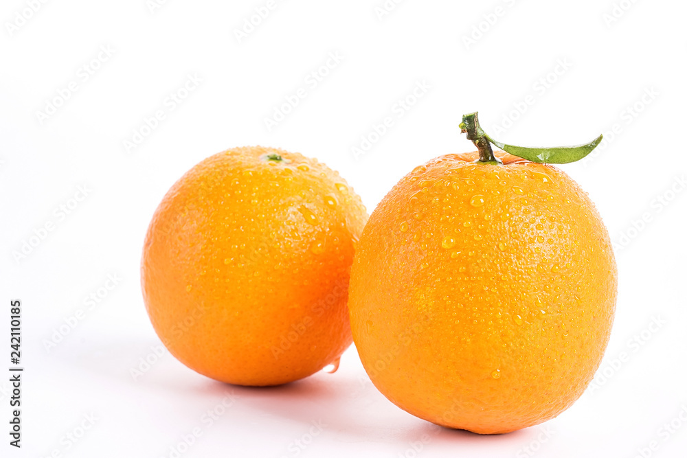kumquat on a white background kumquat on a white background