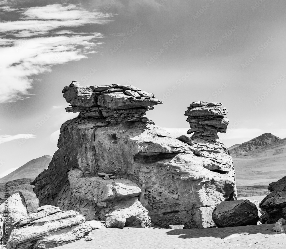 Arbol De Piedra tree Of Rock The Famous Stone Tree Rock Formation arbol-de-piedra-tree-of-rock-the-famous-stone-tree-rock-formation
