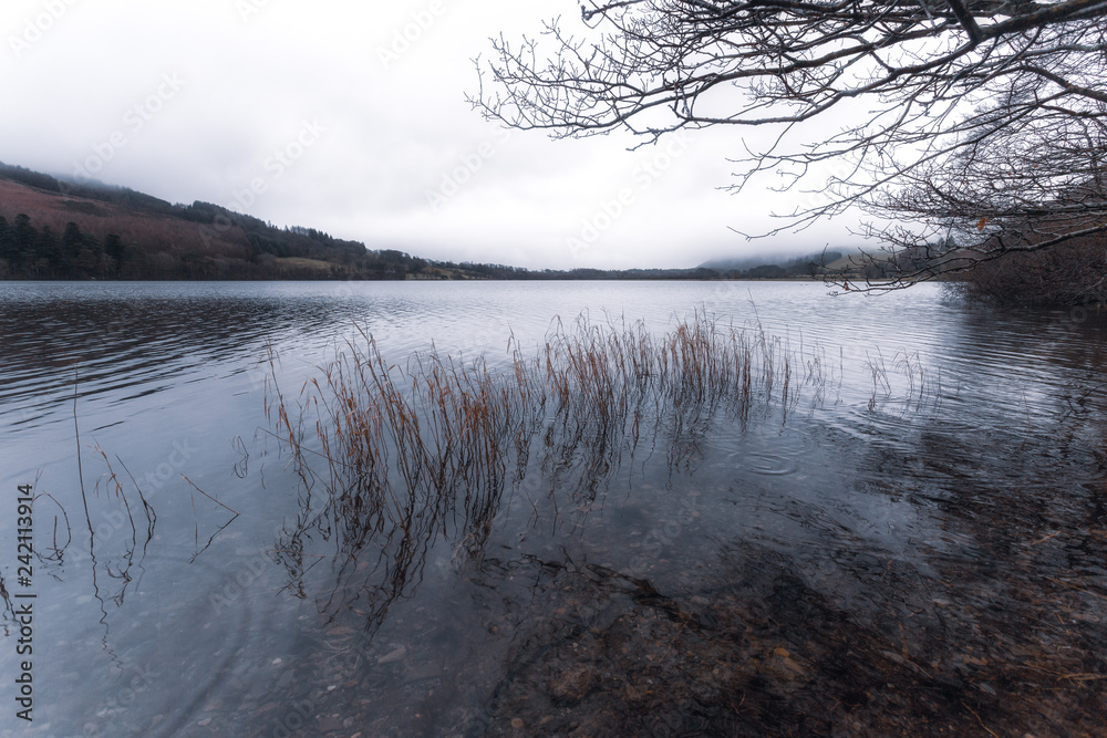 Fototapeta premium lake district lakes cumbria england uk