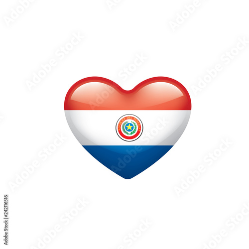 Paraguay flag, vector illustration on a white background