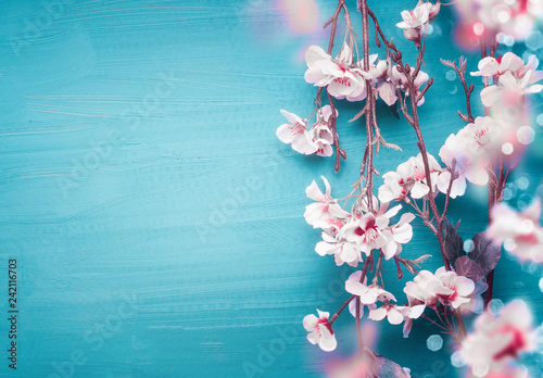 Pretty spring cherry blossom branches on turquoise blue background with copy space for your design. Springtime holidays and nature concept photo