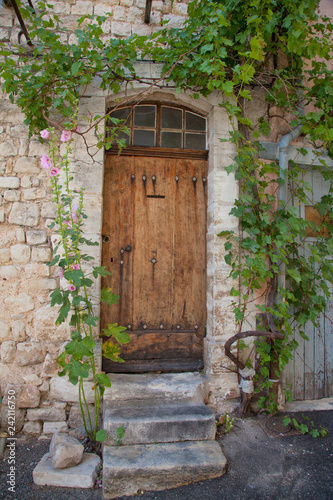 Ancient wooden door in the south of France with green grape vines