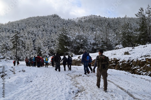  Hiking.Hiking winter.Snowy winter road. Beautiful winter landscape in the mountain forest.Group of people in the forest. Akcaova-Serefler -Cine. Turkey
