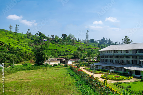 Tea factory and tea plantation Sri Lanka © Anastasia Turshina