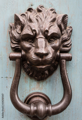lion door knocker