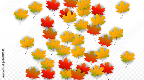 September Vector Background with Golden Falling Leaves. Autumn Illustration with Maple Red, Orange, Yellow Foliage. Isolated Leaf on Transparent Background. Bright Swirl. Suitable for Posters.