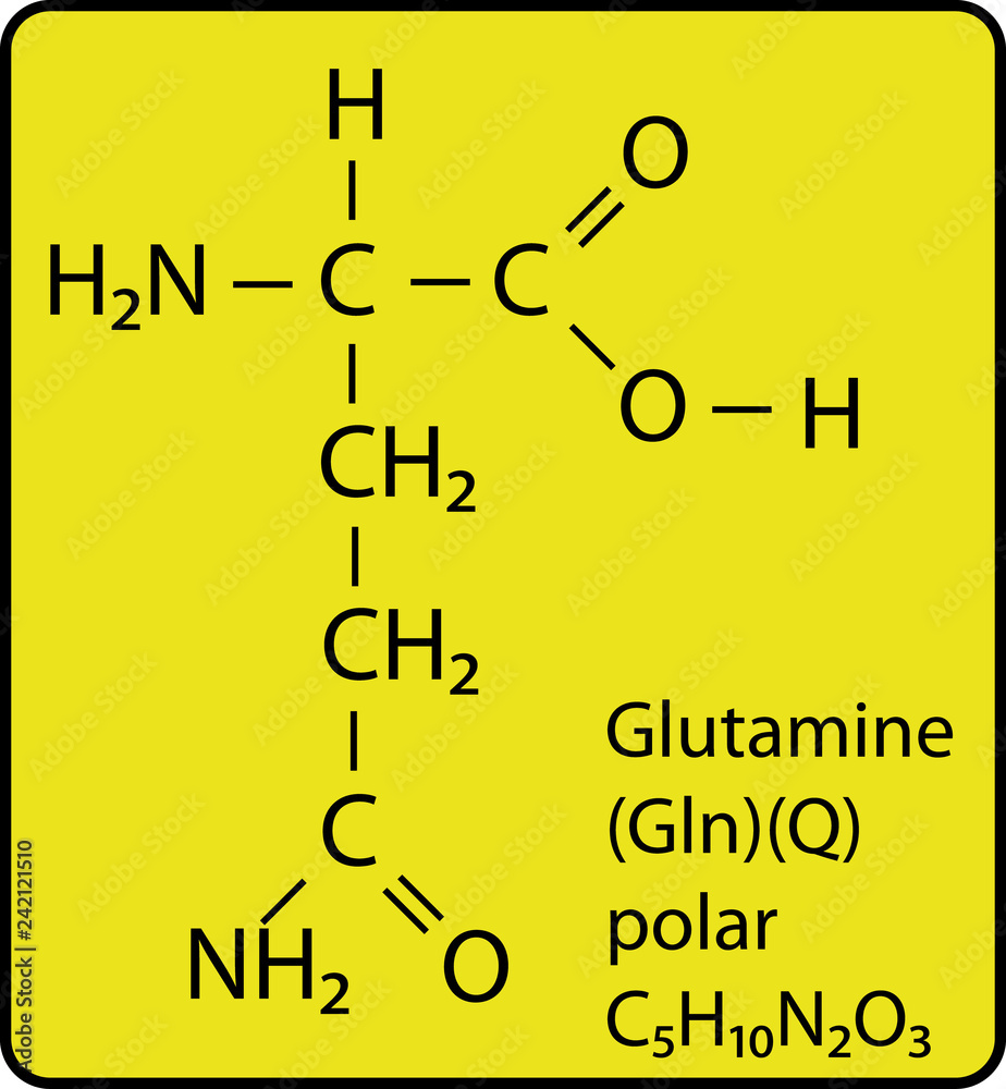 Glutamine Amino Acid Structure Glutamine Amino Acid Structure