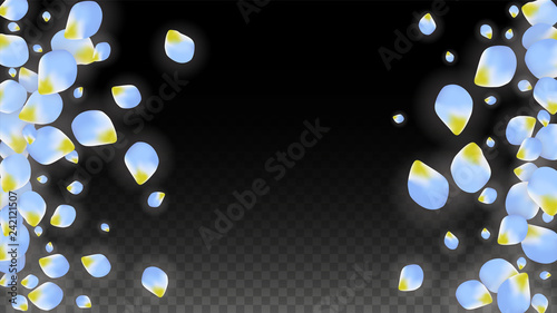 Vector Realistic Blue Petals Falling on Transparent Background.  Spring Romantic Flowers Illustration. Flying Petals. Sakura Spa Design. Blossom Confetti.