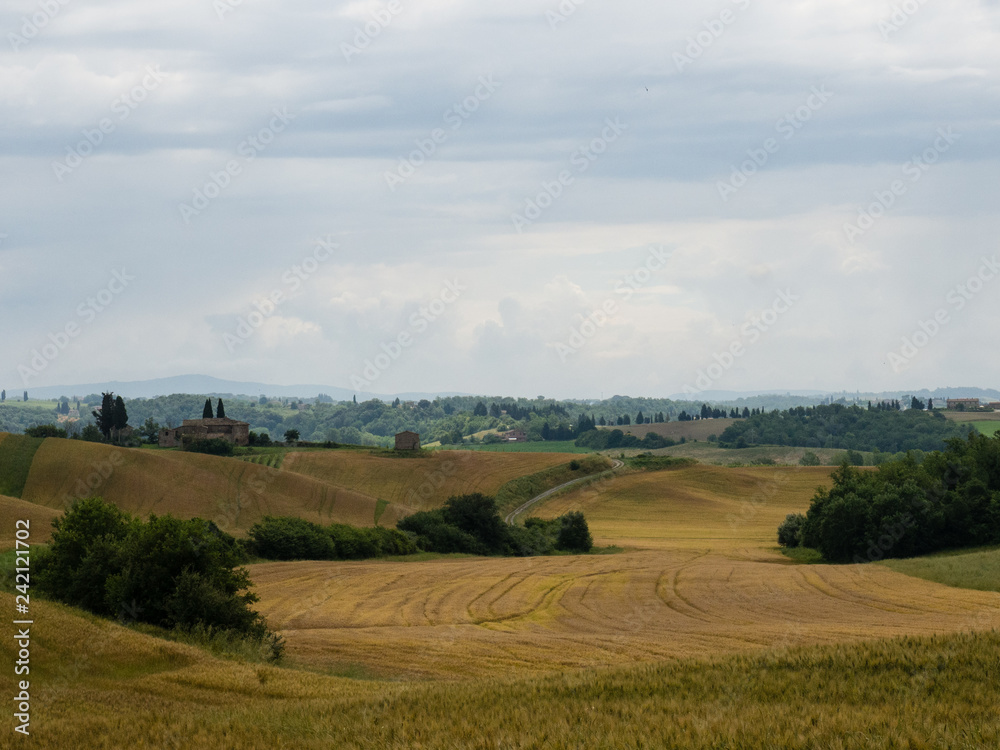 tuscany landscape, italy