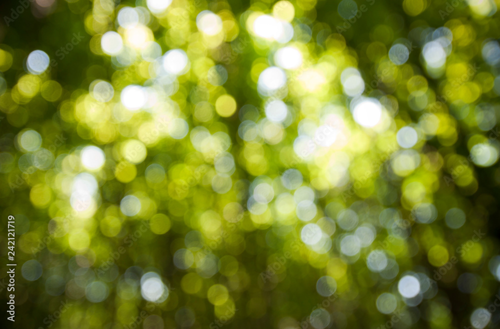 Defocused natural green tree background with sun beams. Abstraction. Bokeh. Sunny greens.. Defocused natural green tree background with sun beams. Abstraction. Bokeh. Sunny greens..