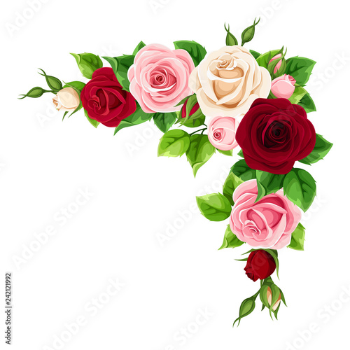 Vector corner background with red  burgundy  pink and white roses.