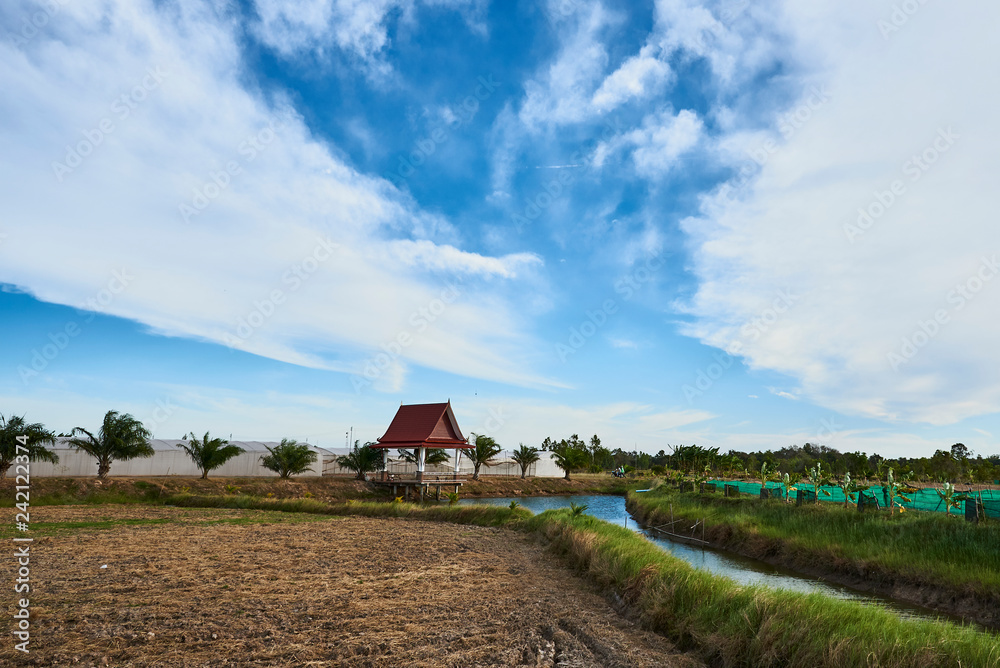 Countryside with Canal In Harvested Field Countryside with Canal In Harvested Field