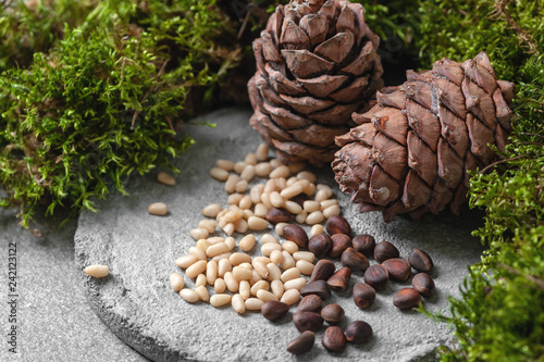 Pine cones and nuts on a gray concrete background.