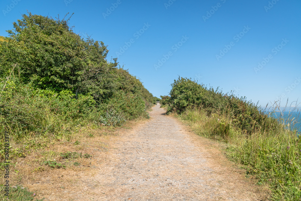dover, grass, england, white, kent, field, beach, sea, cliffs, nature, background, english, cliff, meadow, summer, tall, landscape, vegetation, uk, sky, ocean, beautiful, beauty, green, port, travel, 