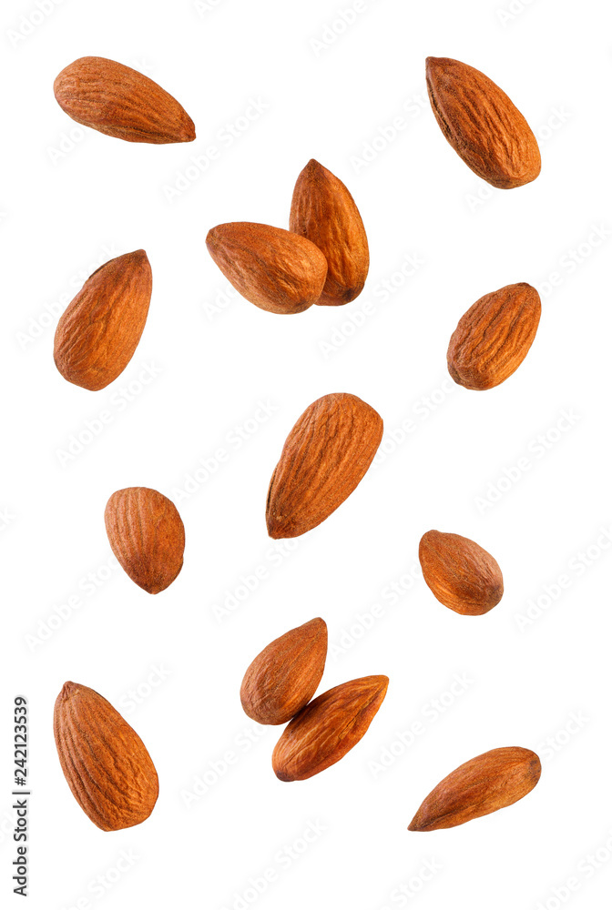 Collection of Almonds. Collection of Almonds.