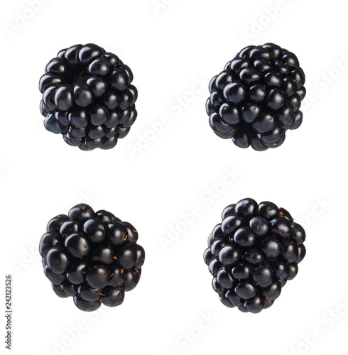 Collection of fresh blackberries.