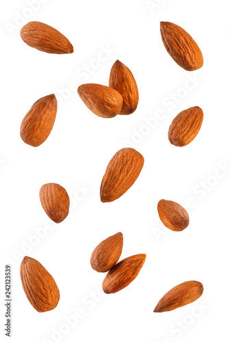 Collection of Almonds.