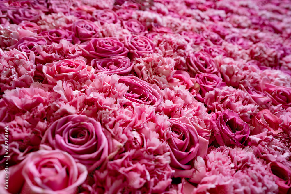 Natural roses background closeup