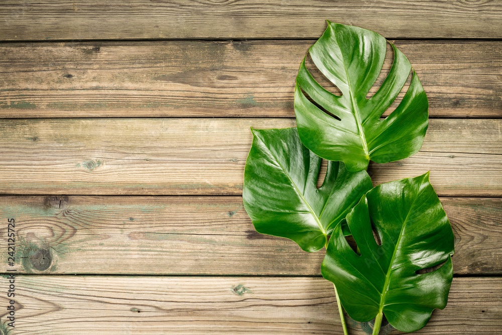 Tropical monstera leaves on wooden background, space for text Tropical monstera leaves on wooden background, space for text