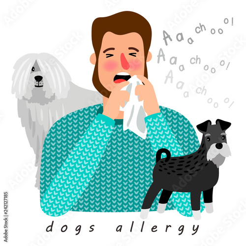 Dogs allergy desease poster, man with running nose, vector illustration