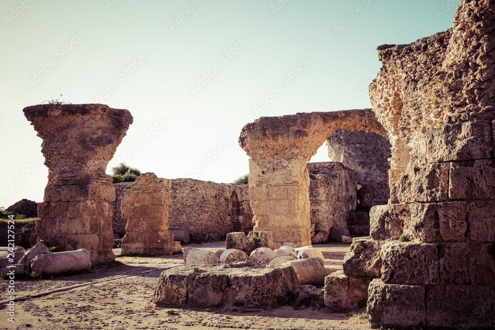 Ruins of the ancient Carthage city, Tunis, Tunisia, North Africa.