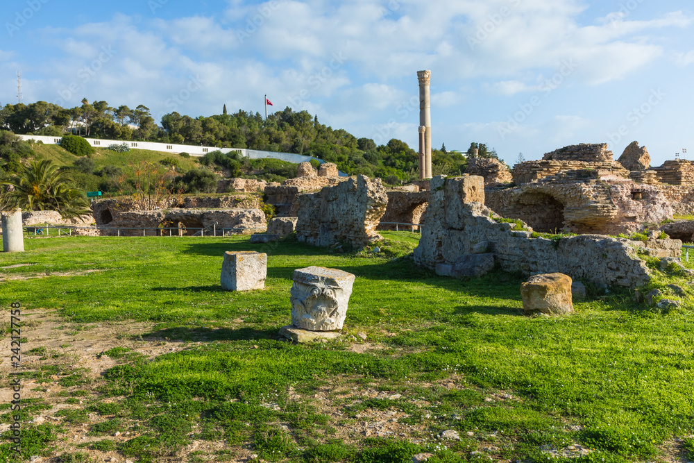 Fototapeta premium Ruiny starożytnego miasta Carthage, Tunis, Tunezja, Afryka Północna.