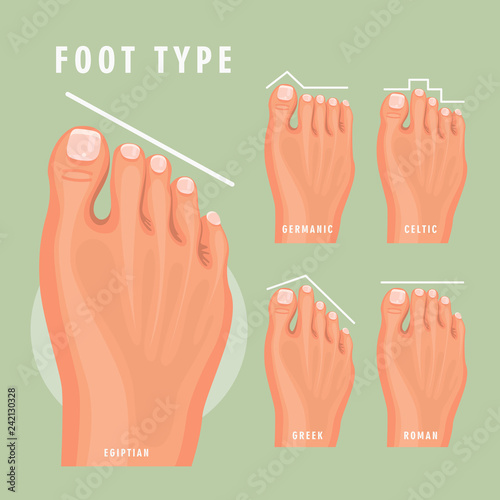 Foot type vector detailed concept with germanic, celtic, greek and roman form