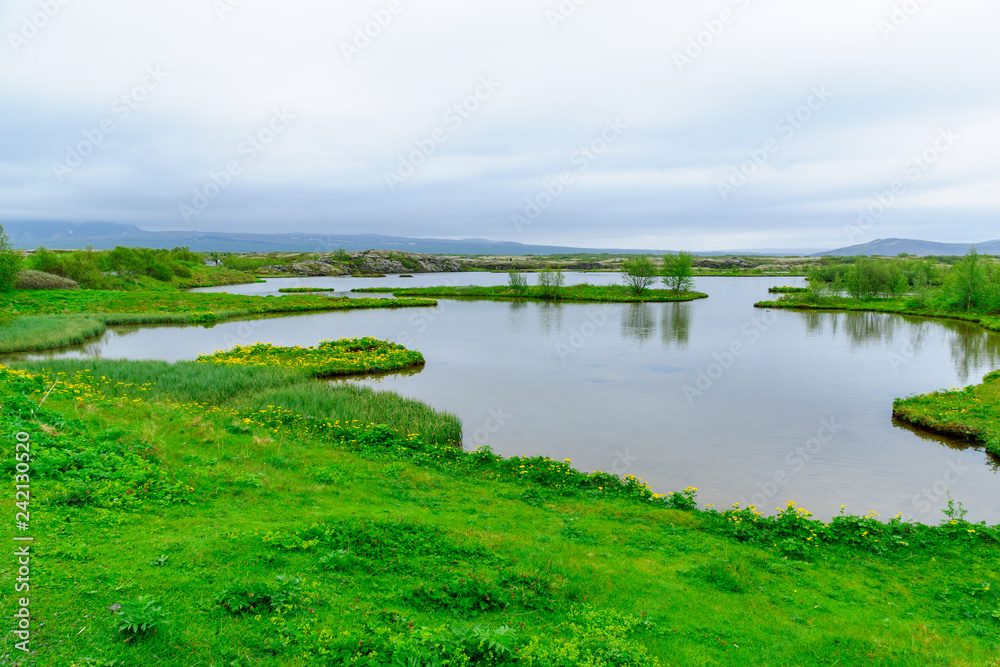 Rift valley in Thingvellir Rift valley in Thingvellir