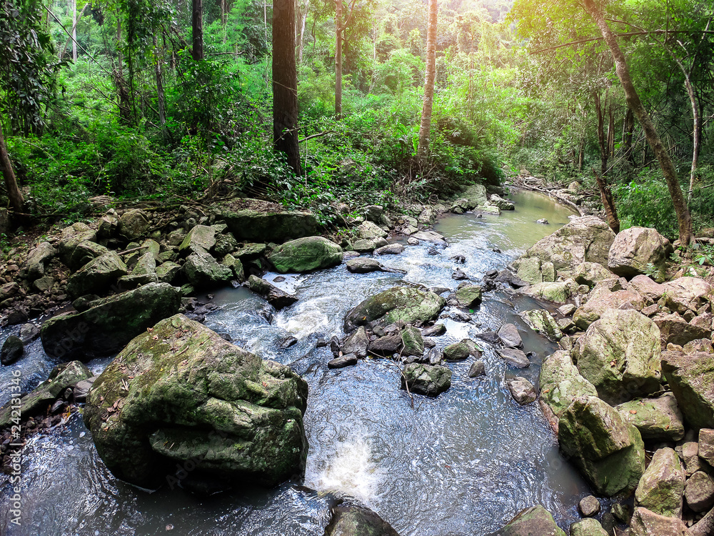 Autumn waterfall stream scene Autumn waterfall stream scene