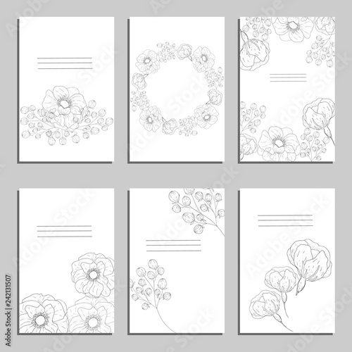 Set of card with flower rose, leaves.