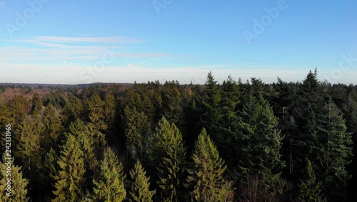 Schleswig Holstein Wald mit Drohne 