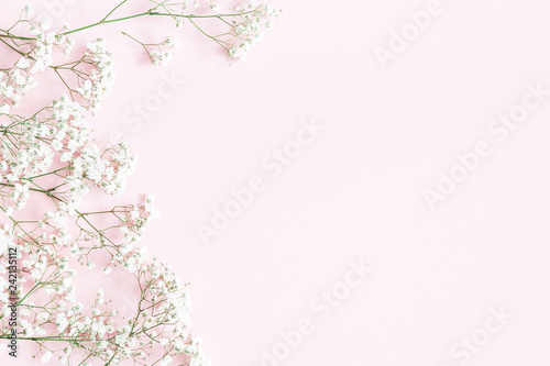 Flowers composition. Gypsophila flowers on pastel pink background. Flat lay, top view, copy space