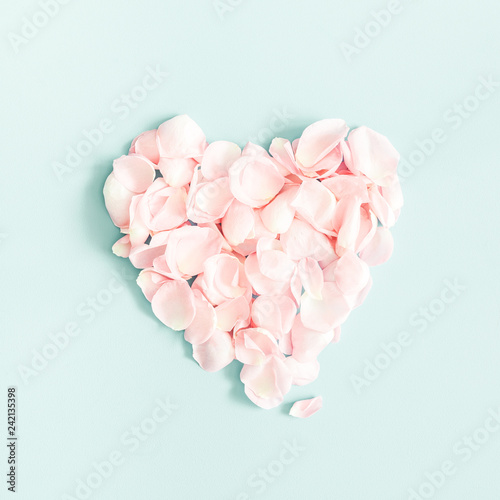 Flowers composition. Rose flower petals on pastel blue background. Valentine's Day, Mother's Day concept. Flat lay, top view, square