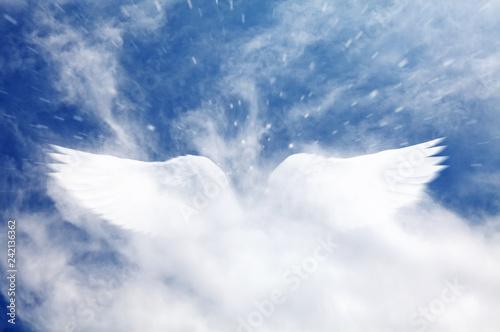 фотографія A dreamy cloudy blue sky with a surreal angel wings shape cloud apparition