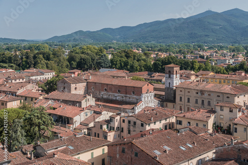 Amazing red rooftops of Lucca at Tuscany in  Italy
