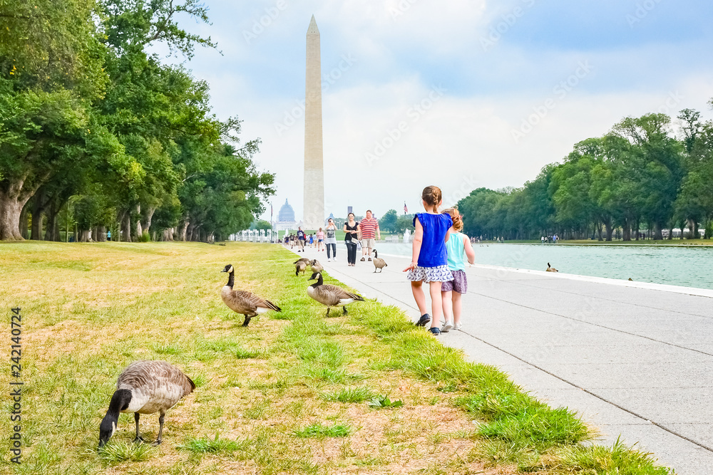 Chidren playing with the gooses near the washington monument, Washington D.C, United States of America