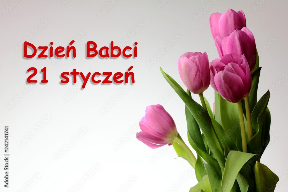 Obraz premium Dzień Babci 21 styczeń tło z tulipany i napisem 