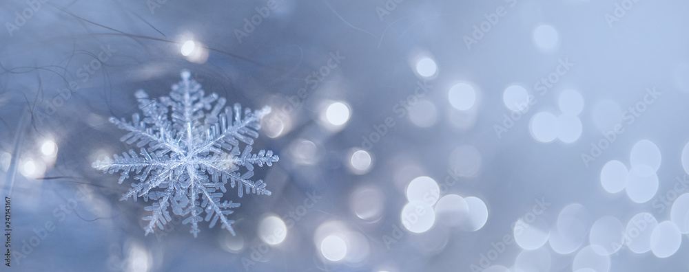 natural snowflakes on snow, photo real snowflakes. Winter snow background. Snowflake Closeup. Macro photo. Copy space. natural snowflakes on snow, photo real snowflakes. Winter snow background. Snowflake Closeup. Macro photo. Copy space.