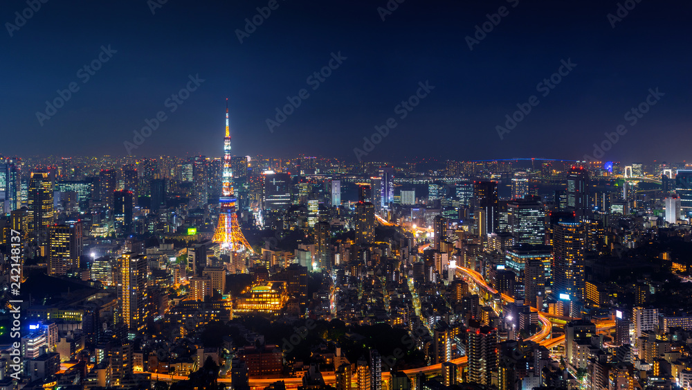 Fototapeta premium Panorama of Tokyo cityscape at night, Japan.