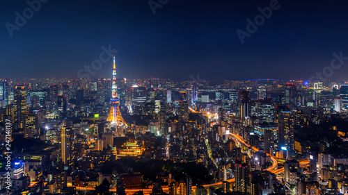 Panorama of Tokyo cityscape at night, Japan.