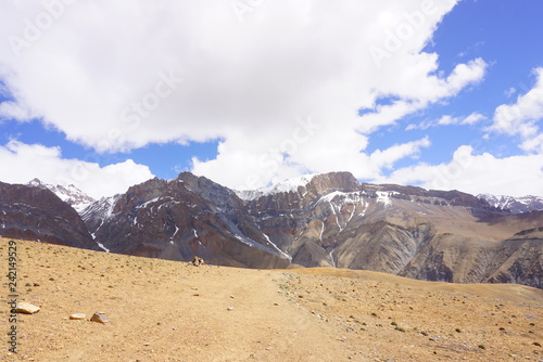 インド ザンスカール ラダック 登山