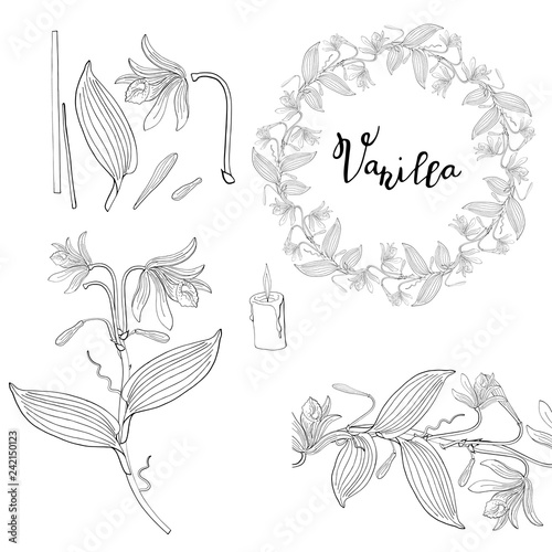Wreath and seamless brush from vanilla orchid
