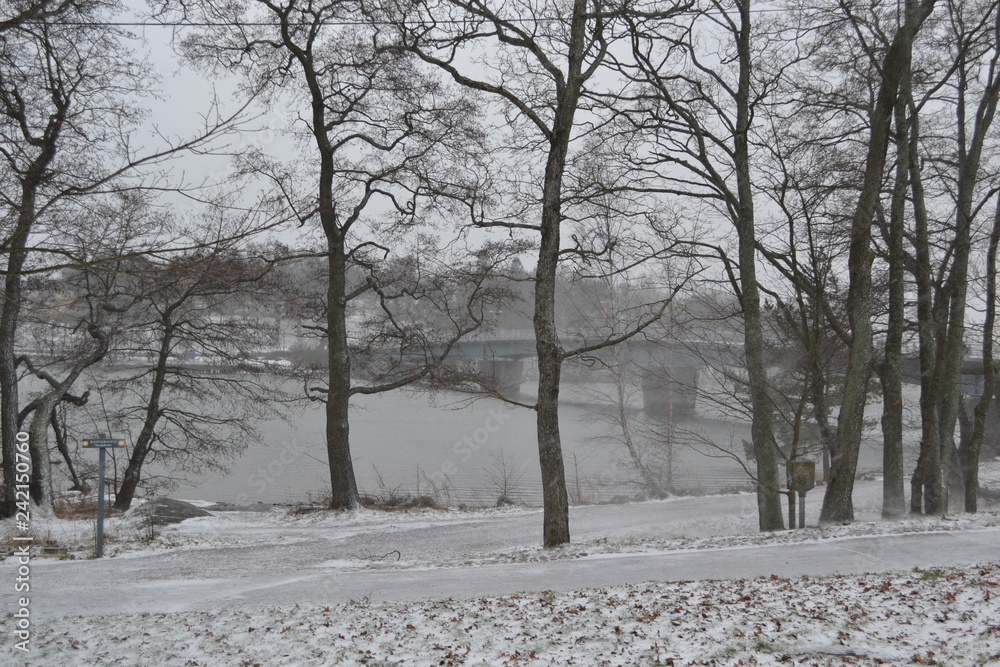 Fototapeta premium Bridge on the background of the river bank. Winter. Trees