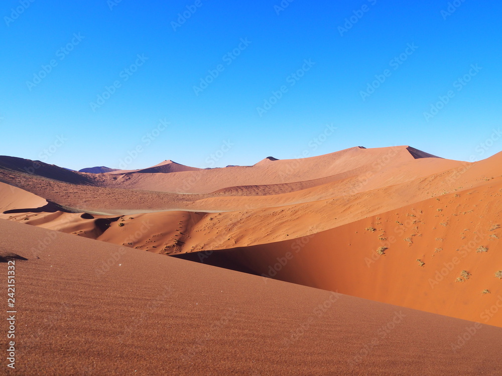 Big daddy Namib desert