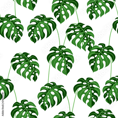 Naklejka egzotyczny tropikalny roślina las krzew