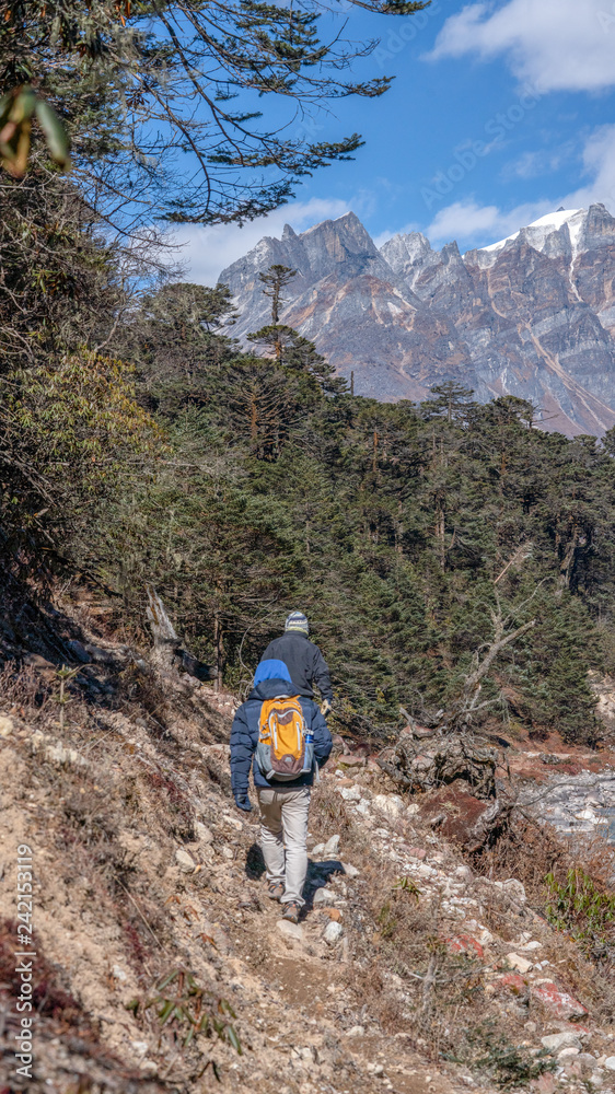 Obraz premium Yumthang! The trail towards Tsethang climbs gently in the beginning and there is a steep climb for about 2-3 hours, and when on top you get an amazing view of Langkyong Khang and the Dongkyari.