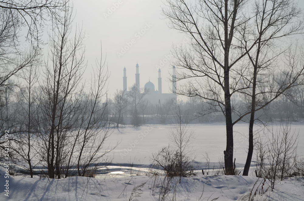 mosque in winter