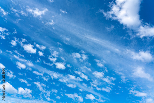 clear blue sky in sunny day